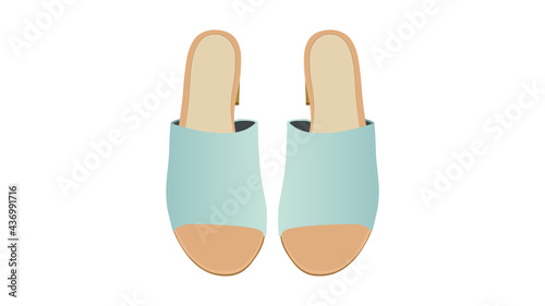 Women Shoes, Women Sandal isolated on white background