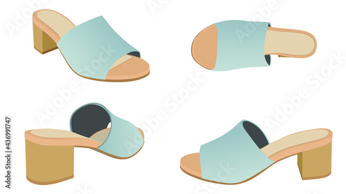 set of Women Shoes, Women Sandal isolated on white background