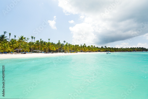 Fototapeta Naklejka Na Ścianę i Meble -  Island with coconut palms and Caribbean sea. Tropical paradise with white sand, beautiful travel card background with copy space