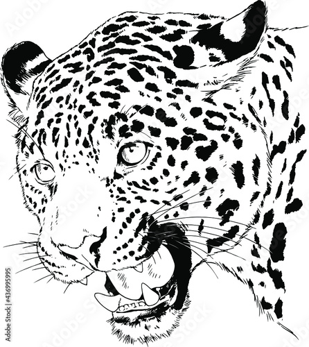 running Cheetah hand-drawn with ink on white background logo tattoo