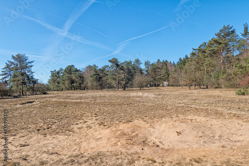 Kootwijker sands Veluwe photo