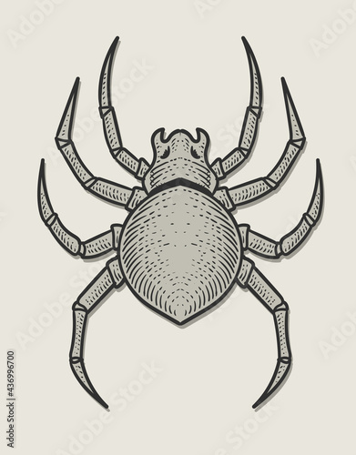 illustration spider engraving monochrome style