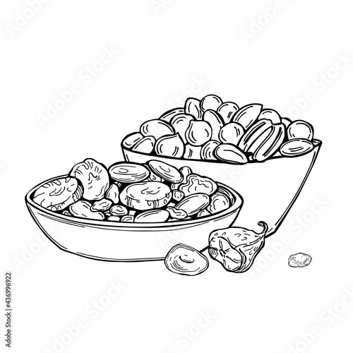 Dried fruits and nuts. Vector   illustration.
