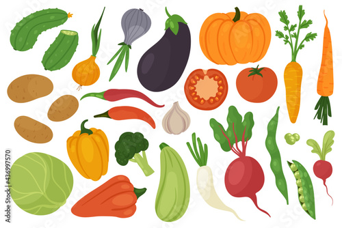 Vegetable harvest, vegetarian diet food vector illustration set. Cartoon fresh cabbage carrot cucumber potato radish tomato broccoli eggplant garlic pumpkin pepper beet onion peas isolated on white