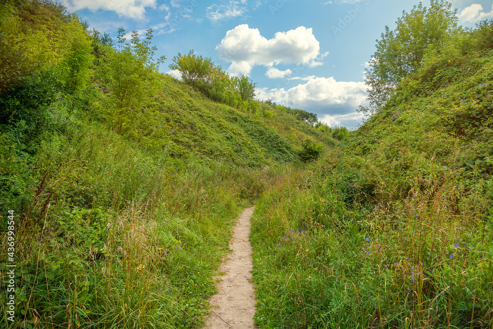 Summer landscape, road to clouds, path between hills overgrown with fresh grass and white clouds and blue sky in front