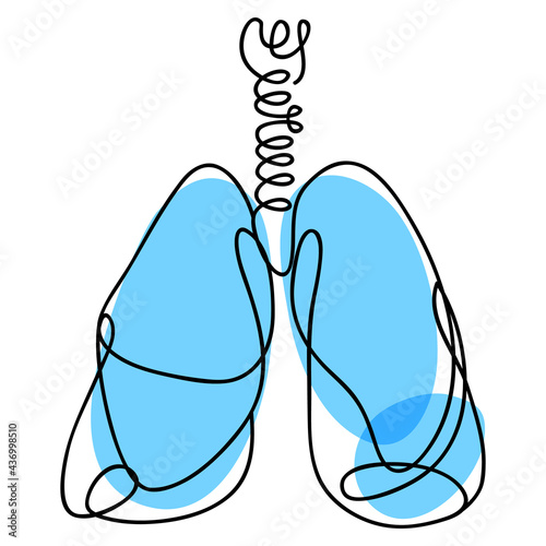 Continuous line realistic drawing of lungs on white background