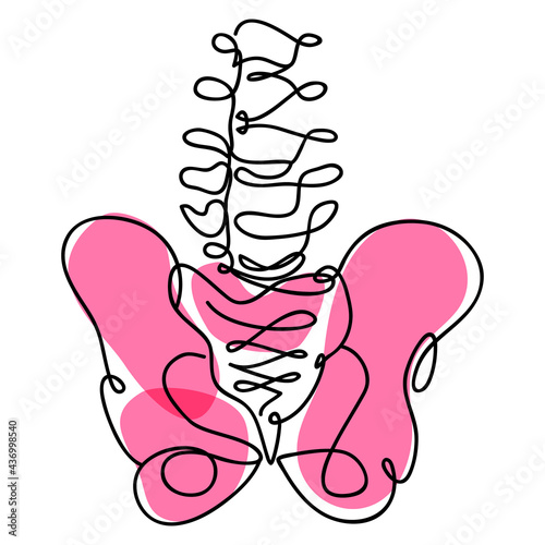 Continuous line realistic drawing of hip bone on white background.