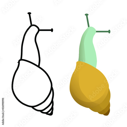 
Snail on a plant - nature - illustration