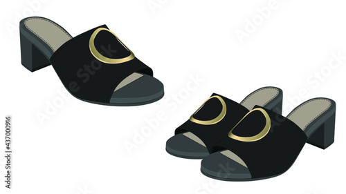 Women Shoes, Women Sandal isolated on white background