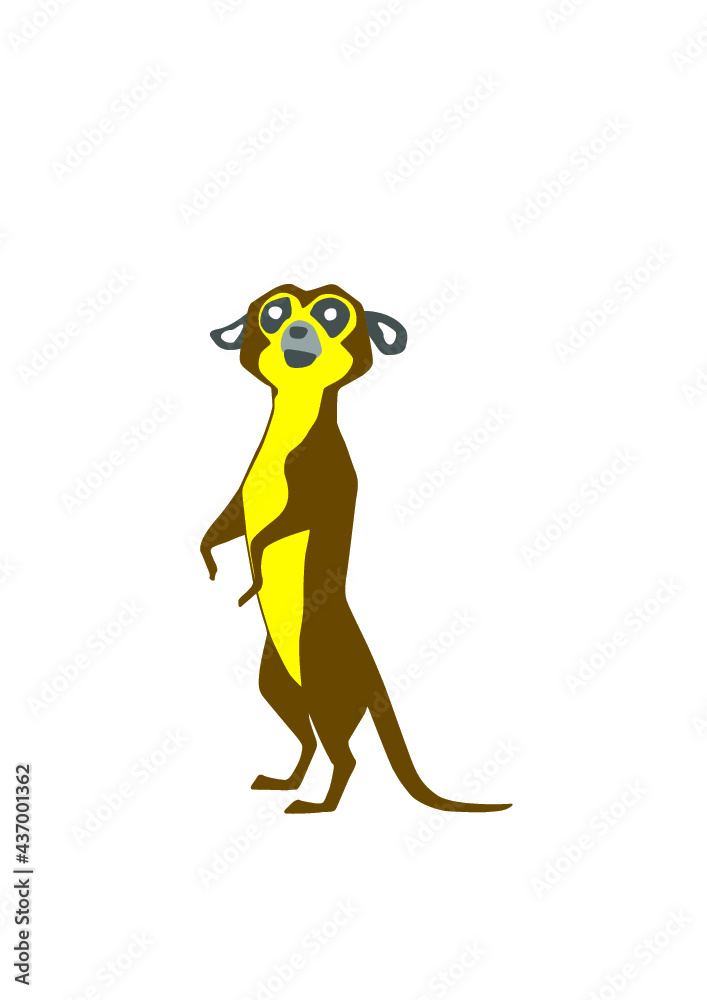erdmännchen erdmännchen