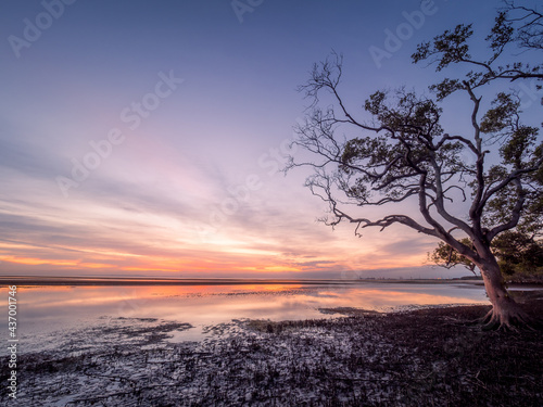 Beautiful Seaside Sunrise with Mangroves and Cloud Reflections © Kevin