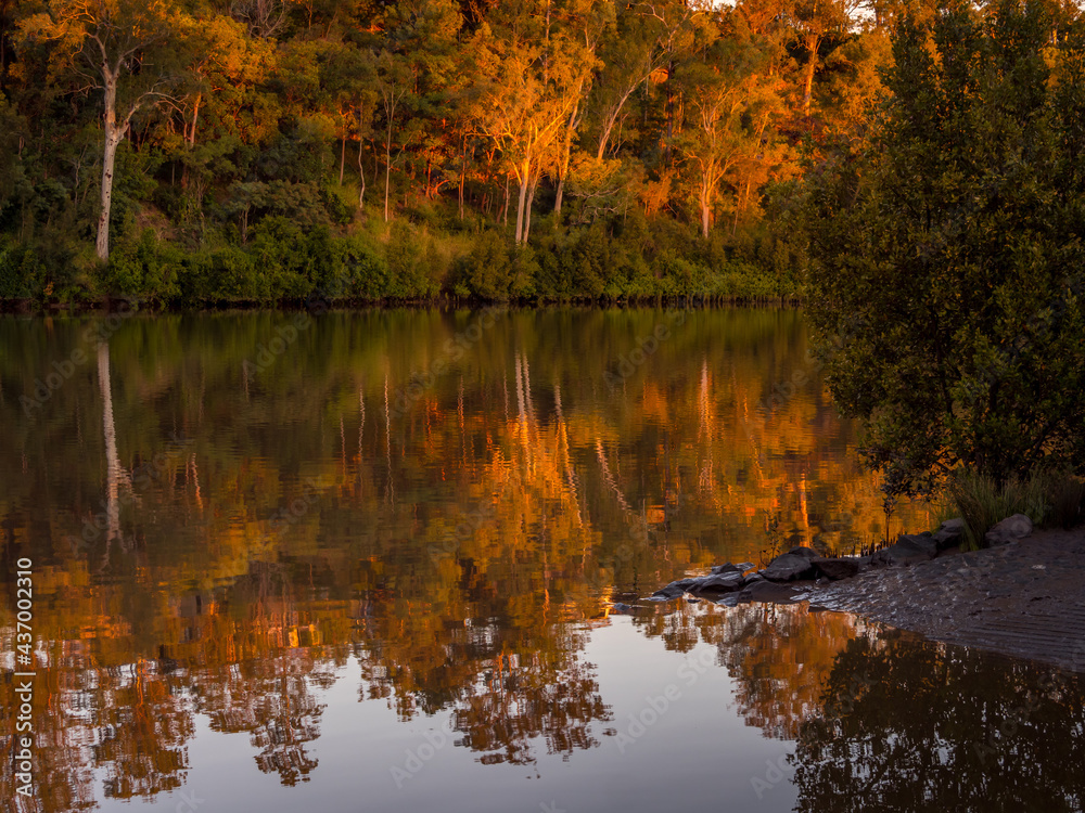 Fototapeta premium Golden Riverside Afternoon with Tree Reflections