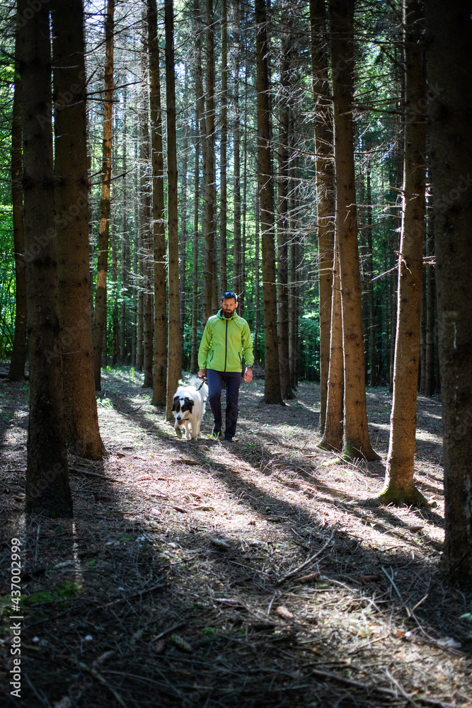 Obraz premium man with dog walking in forest