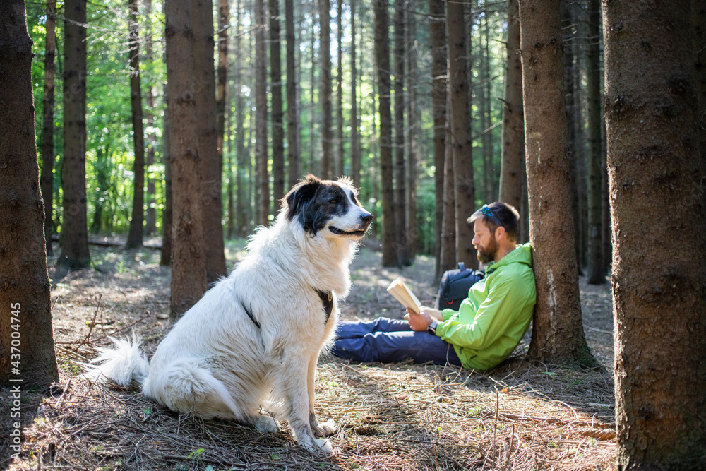 man with dog reading a book in forest man with dog reading a book in forest