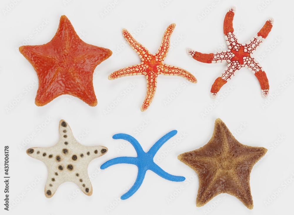 Realistic 3D Render of Starfish Collection Realistic 3D Render of Starfish Collection