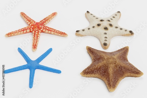 Realistic 3D Render of Starfish Collection