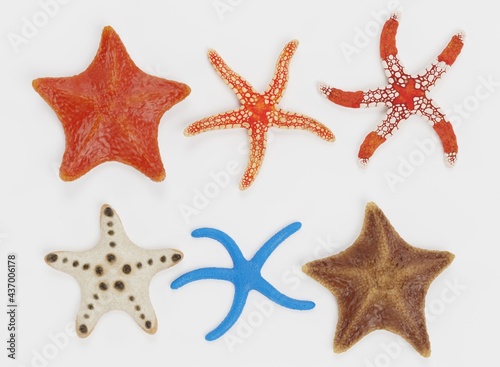 Realistic 3D Render of Starfish Collection