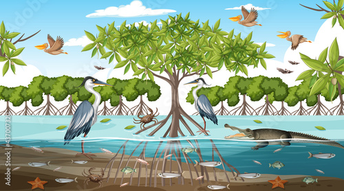 Mangrove forest landscape scene at daytime with many different animals © blueringmedia
