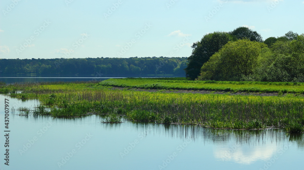 Landscape with lake and trees in the spring morning.