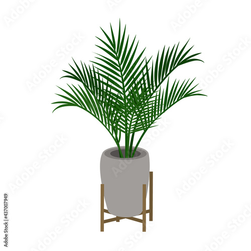 home indoor palm tree houseplant in a decorative plant stand