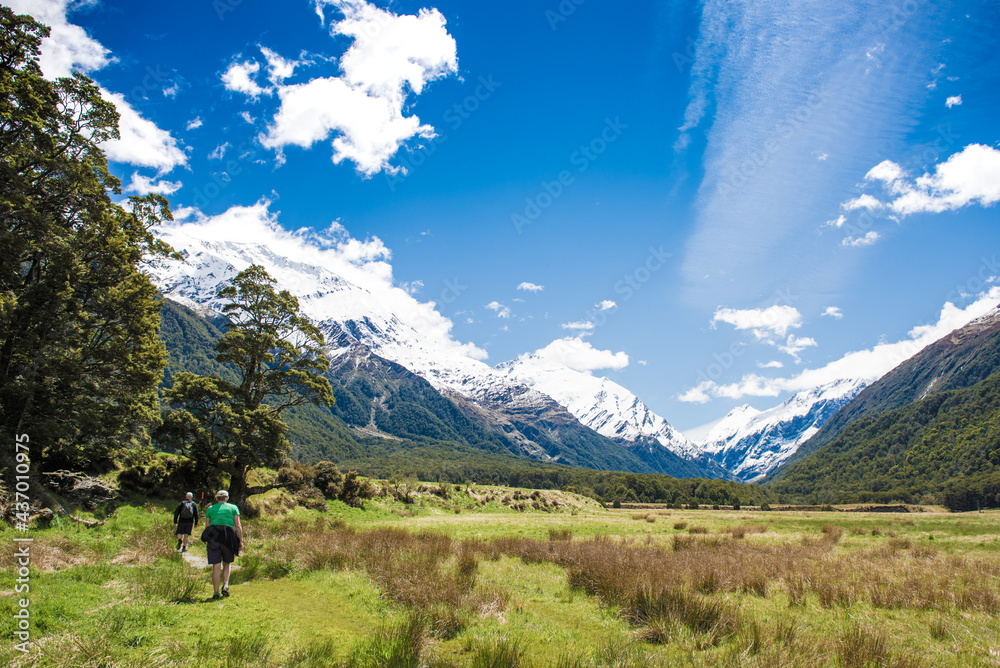 Matukituki Valley Track, Mount Aspiring National Park, Te waipounamu, New Zealand