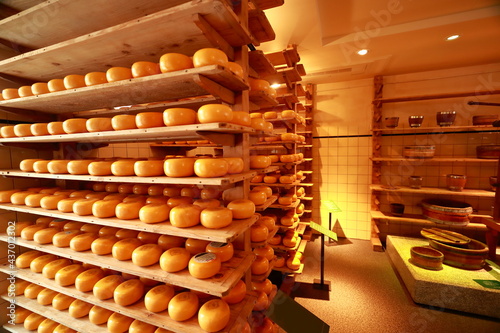 Cuadro en lienzo Cheese Making Process in Cheese Factory