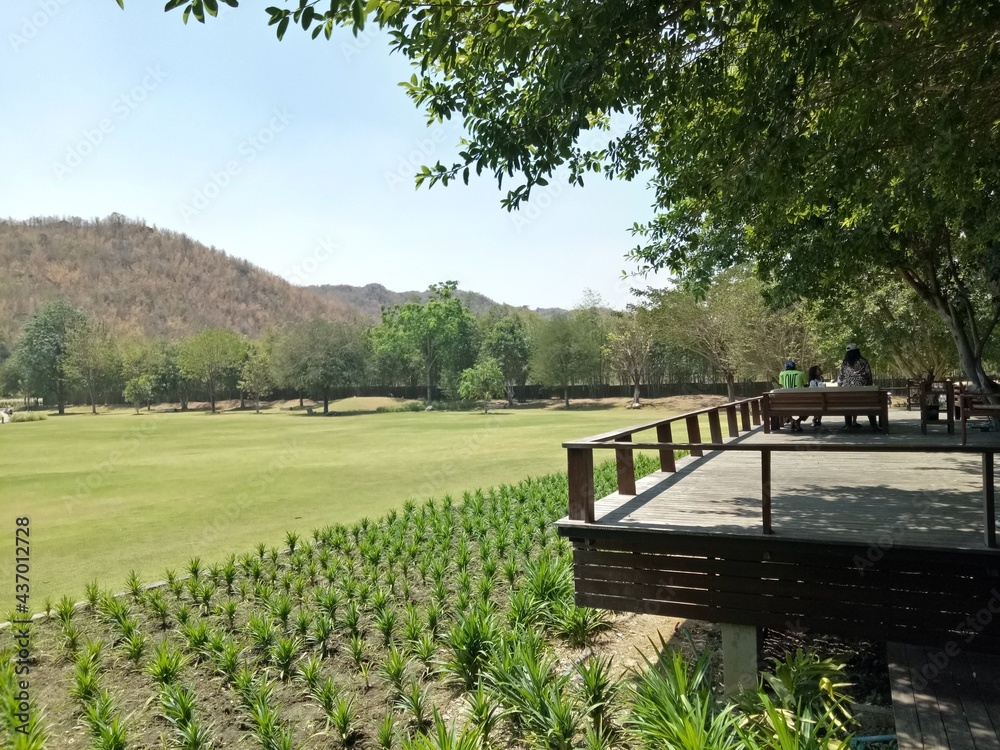 Obraz premium bench in the park