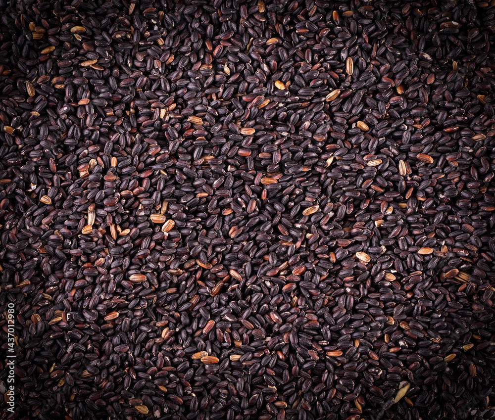 The raw black rice as background.. Selective focus The raw black rice as background.. Selective focus
