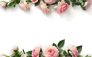 Frame of flowers pink roses with leaves on a white background with space for text. Top view, flat lay