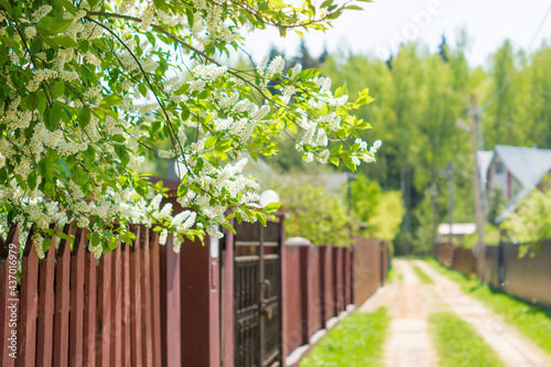 Gate  fence and spring nature. Colorful spring background  home entrance  curb appeal