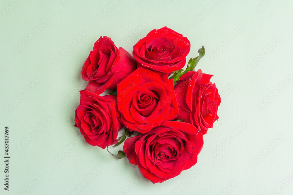 Bouquet of fresh red roses on light green backdrop Bouquet of fresh red roses on light green backdrop