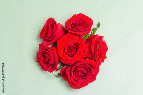 Bouquet of fresh red roses on light green backdrop