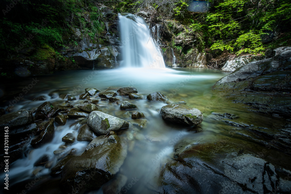 Fototapeta premium waterfall in the forest