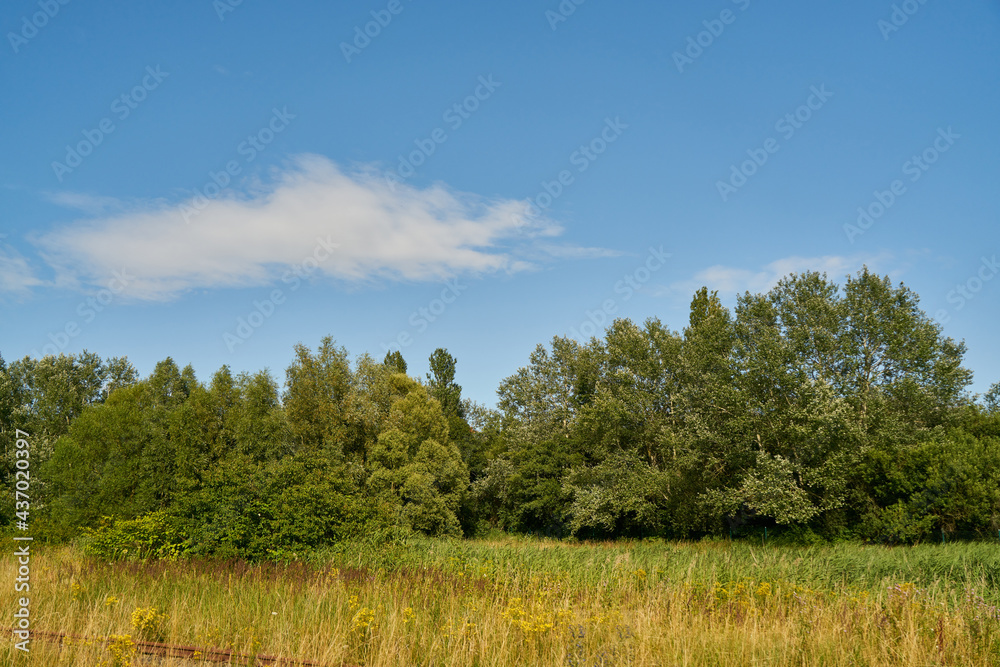 Grüne Landschaft mit blauem Himmel am Tag