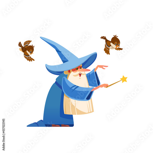 Cartoon kind wizard character. Old witch man in wizards robe, magician warlock and magic medieval sorcerer merlin, male witchcraft in hat and mantle. Cartoon style vector isolated illustration.
