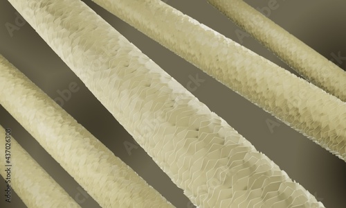 Slika na platnu Hair close-up, Low porosity blond hair