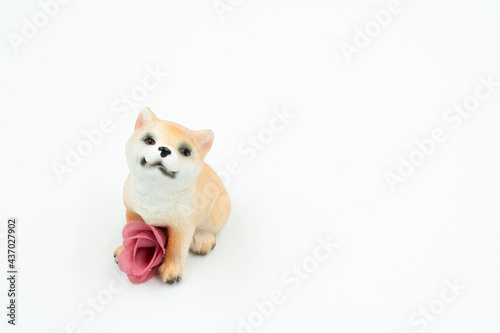 花を抱えた犬