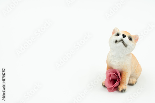 花を抱えた犬