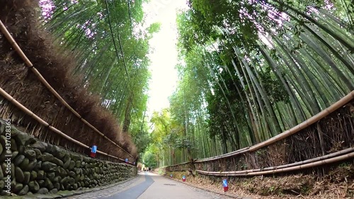 京都　嵐山・竹林の小径 photo