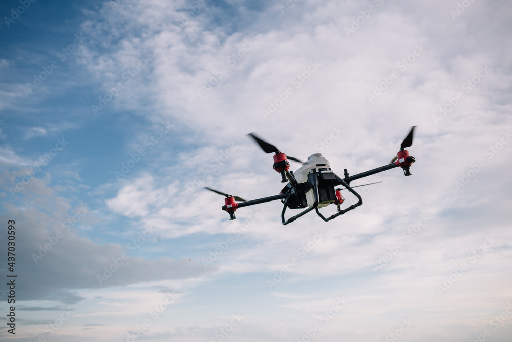 Agriculture drone fly to sprayed fertilizer on the sweet corn fields Agriculture drone fly to sprayed fertilizer on the sweet corn fields