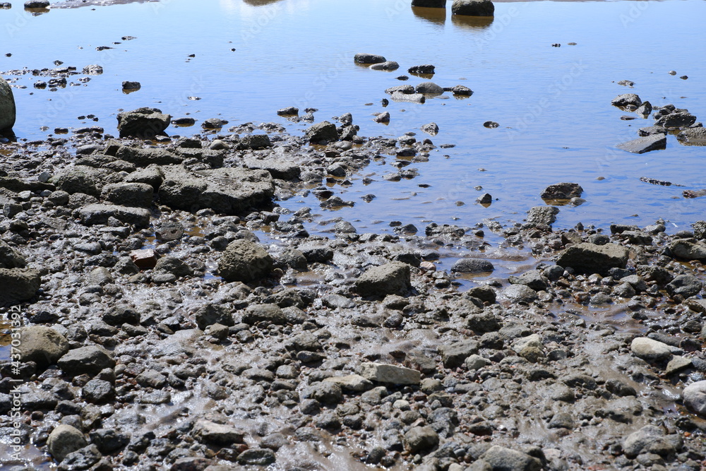 Fototapeta premium Stones on the shore of the Gulf of Finland