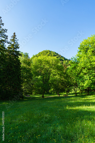 The woods and nature of the Lombard pre Alps in spring near the "alpe del viceré", a well-known locality just an hour's drive from Milan, Italy - May 2021.