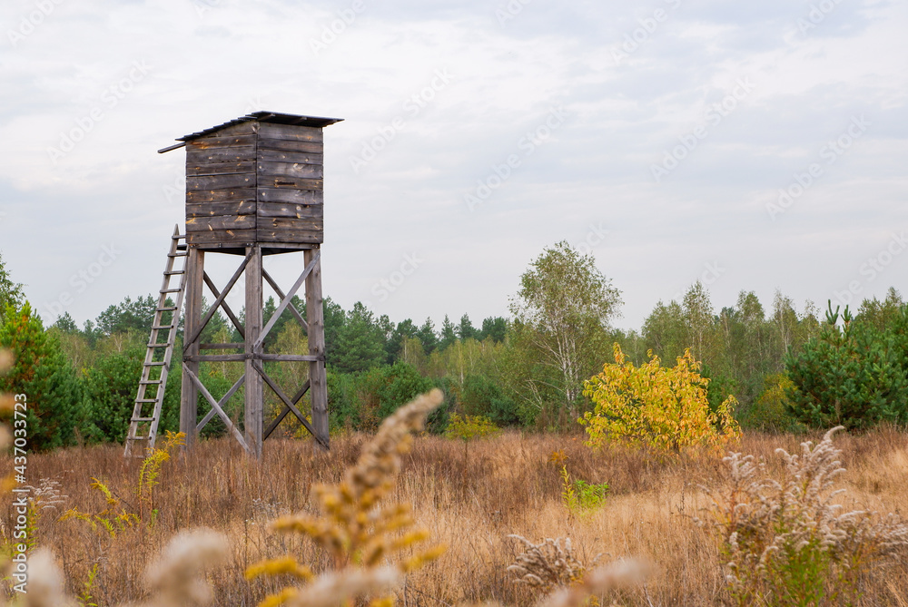 Autumn landscape with a hunting tower. Wooden observation tower at the edge of the autumn forest. Forestry.