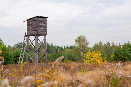 Autumn landscape with a hunting tower. Wooden observation tower at the edge of the autumn forest. Forestry. © Trik