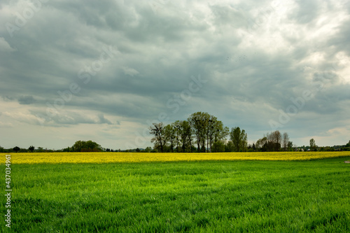 A field and a trees on the horizon, dark rainy clouds
