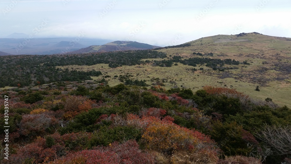 Fototapeta premium 제주도 오름을 올라가면서