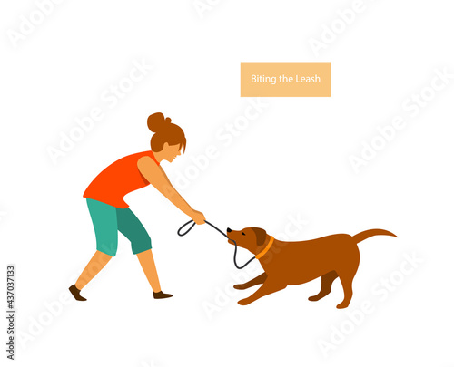 dog misbehaving tugging biting on a leash during walking vector illustration graphic scene