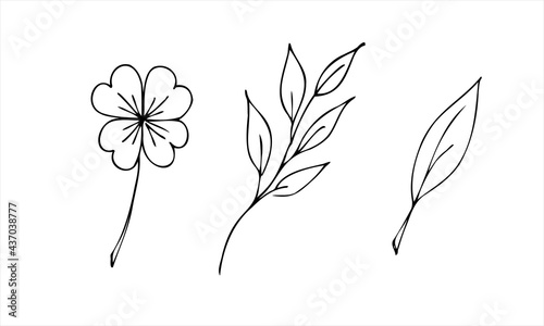 A set of leaves of different shapes. Isolated vector illustration, simple cartoon line art.