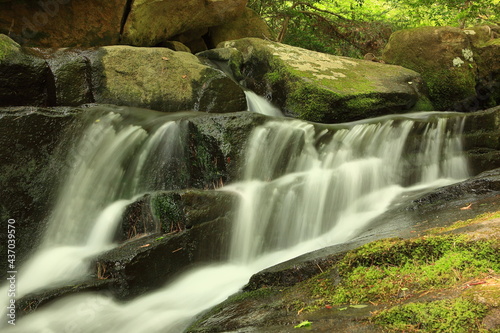 moss and stream                         