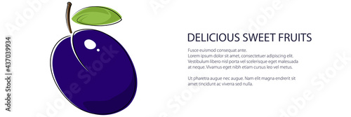 Purple plum banner , fruit isolated on white background, vector illustration